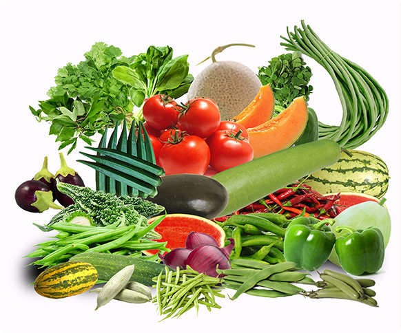 KITCHEN-GARDEN-KIT